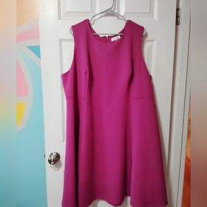 Fuschia Pink Sleeveless Dress